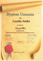 Dyplom Uznania za zdjęcie Szpilki